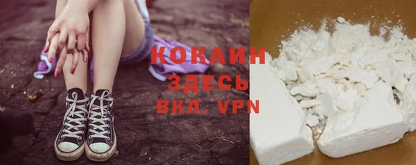 дмт Новодвинск