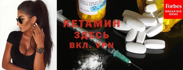 дмт Новодвинск
