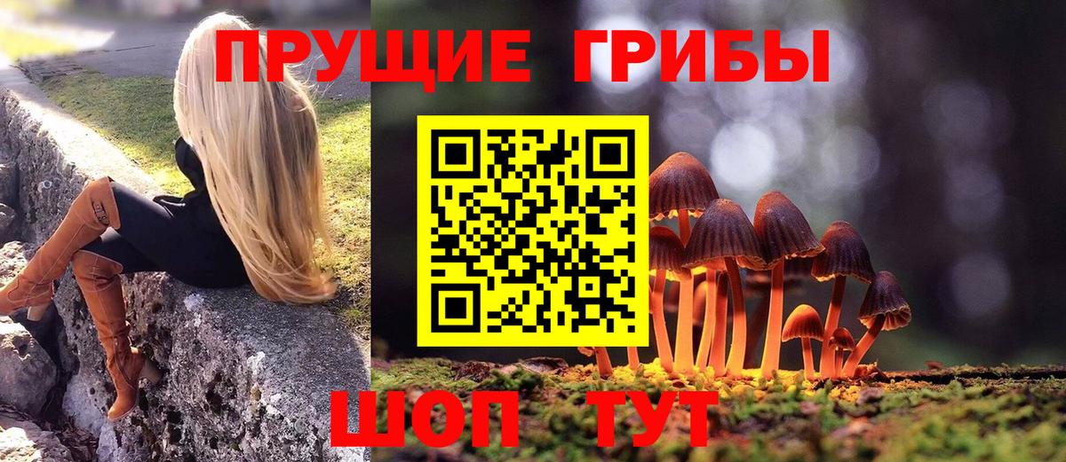 Переславль-Залесский  Псилоцибиновые грибы Magic Shrooms  Псилоцибиновые грибы ЛСД  Вход с VPN 